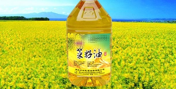 Rapeseed oil production line